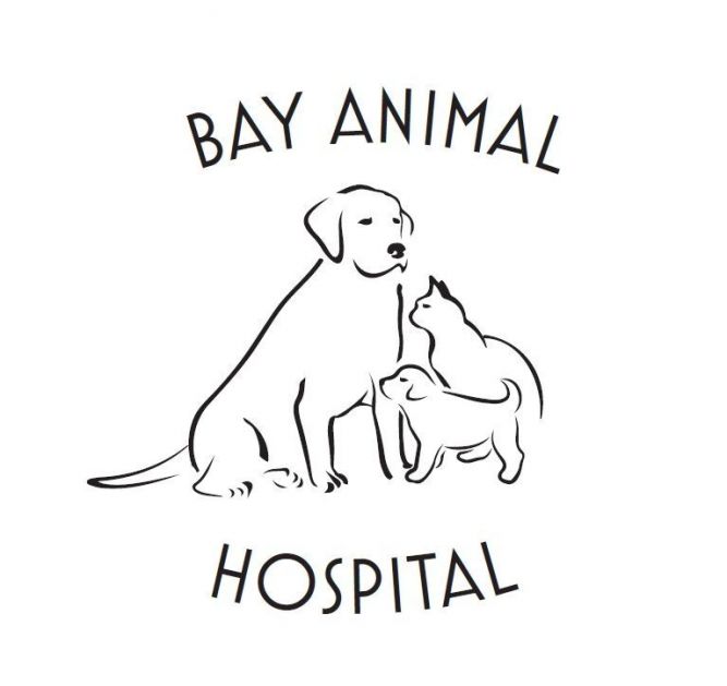 Bay Animal Hospital