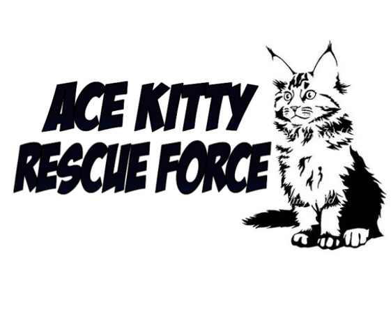 Ace Kitty Rescue Force Corp