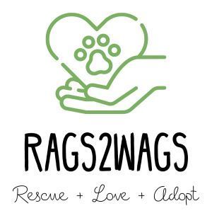 Rags2Wags, INC