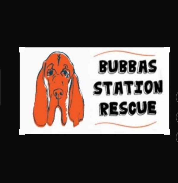 Bubbaâ€™s Station Rescue