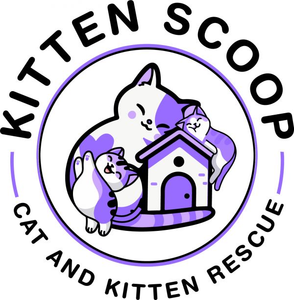 Kitten Scoop