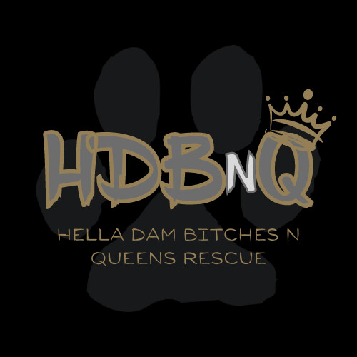 Hella Dam Bitches n Queens Rescue Inc