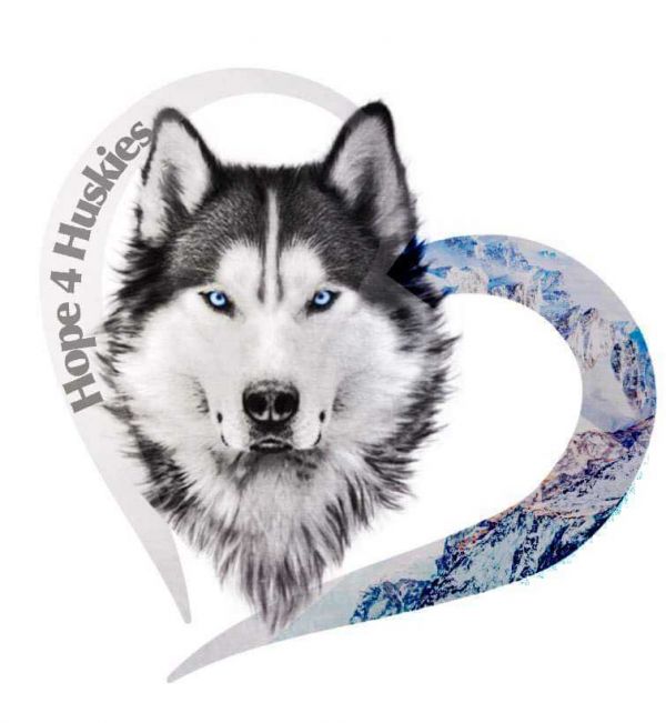 Hope 4 Huskies