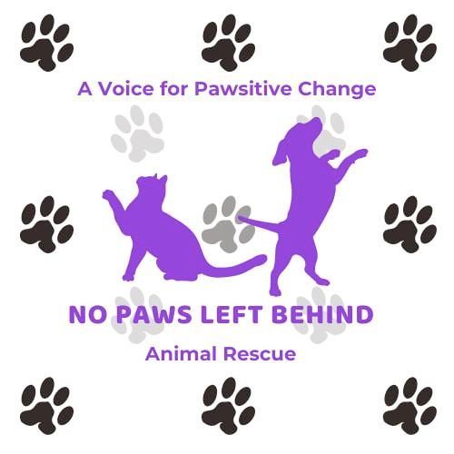 No Paws Left Behind Animal Rescue