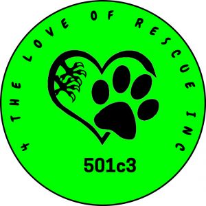 4 The Love Of Rescue