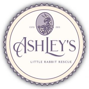 Ashley's Little Rabbit Rescue