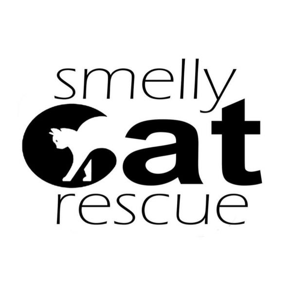 Smelly Cat Rescue