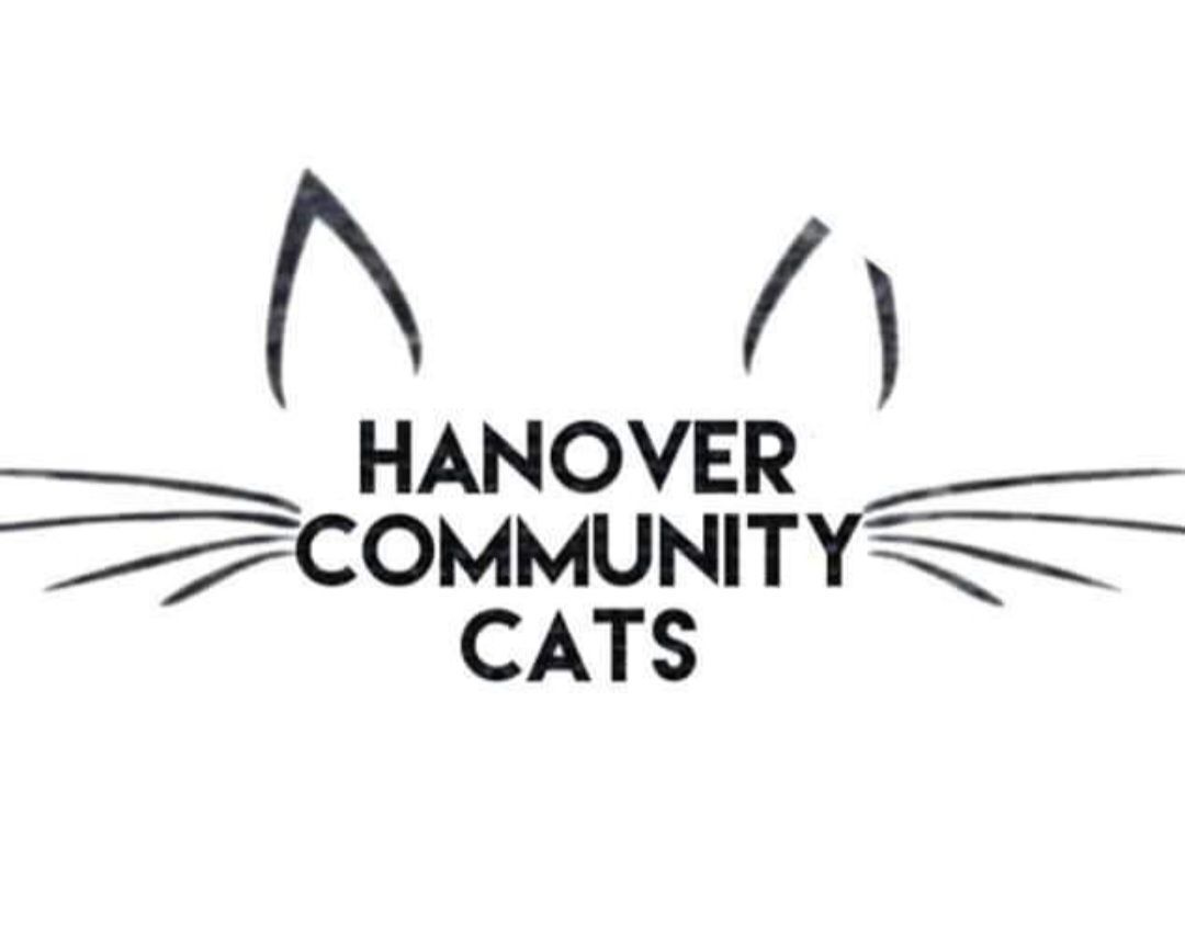 Hanover Community Cats