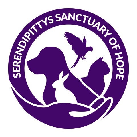 Serendipittys Sanctuary of Hope