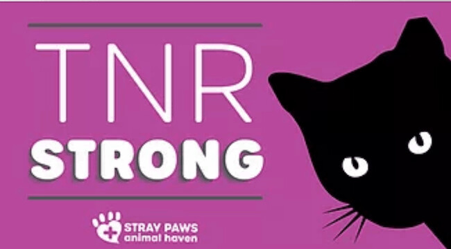 Stray Paws Animal Haven