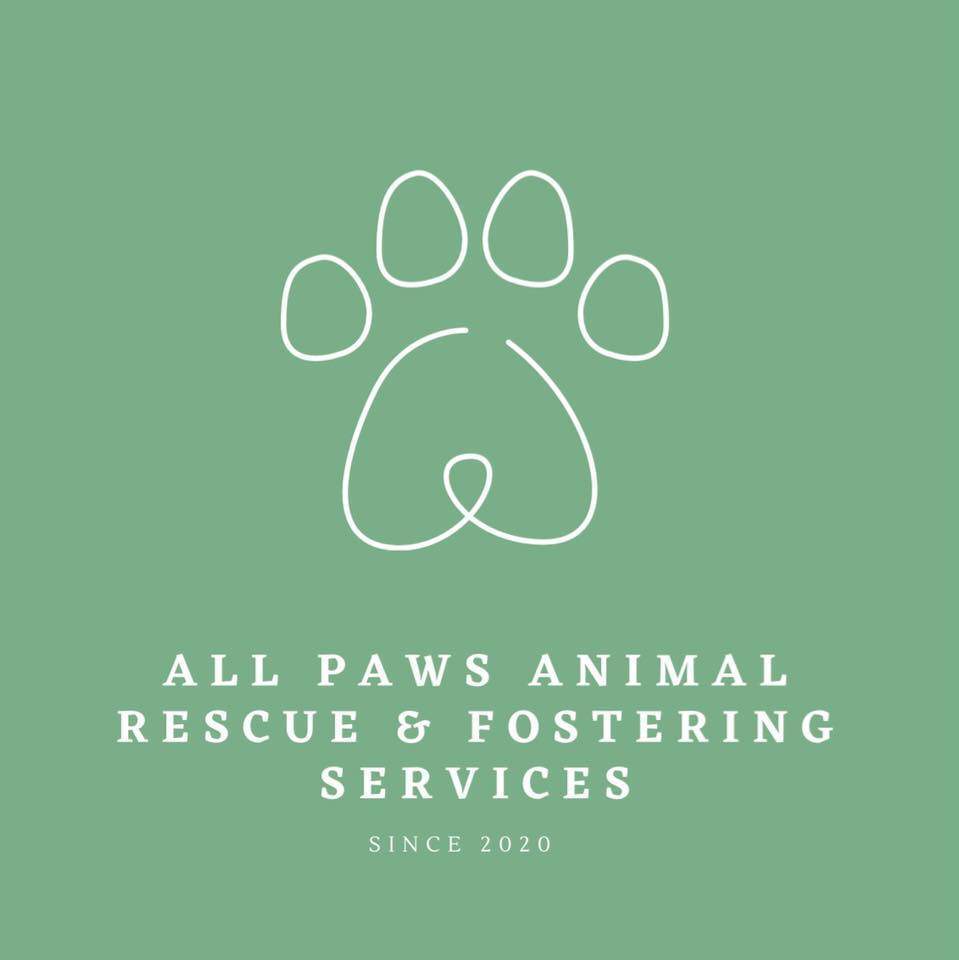 All Paws Animal Rescue & Fostering Services