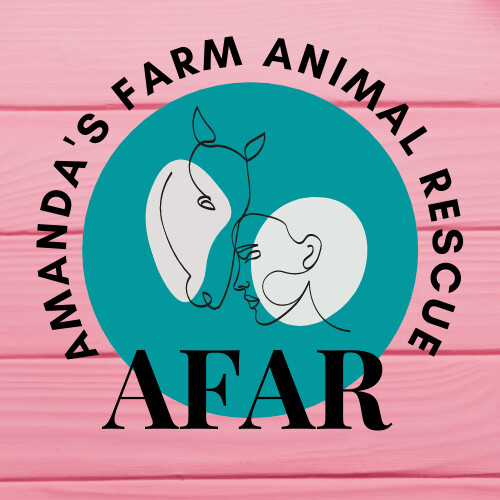 AFAR. Amanda\'s Farm Animal Rescue