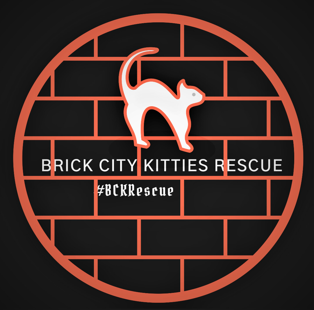 Brick City Kitties Rescue