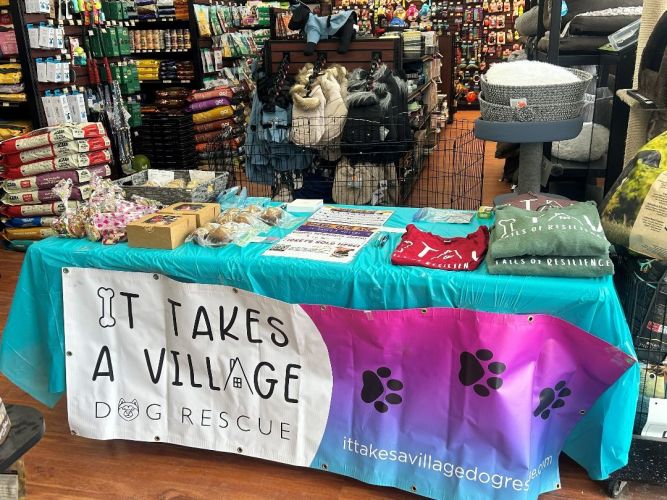 It Takes A Village Dog Rescue