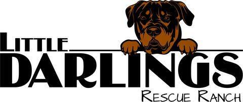 Pets for Adoption at Little Darlings Rescue Ranch, in Milan, MI | Petfinder