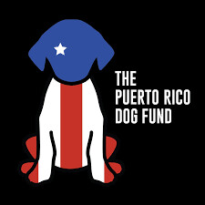 The Puerto Rico Dog Fund