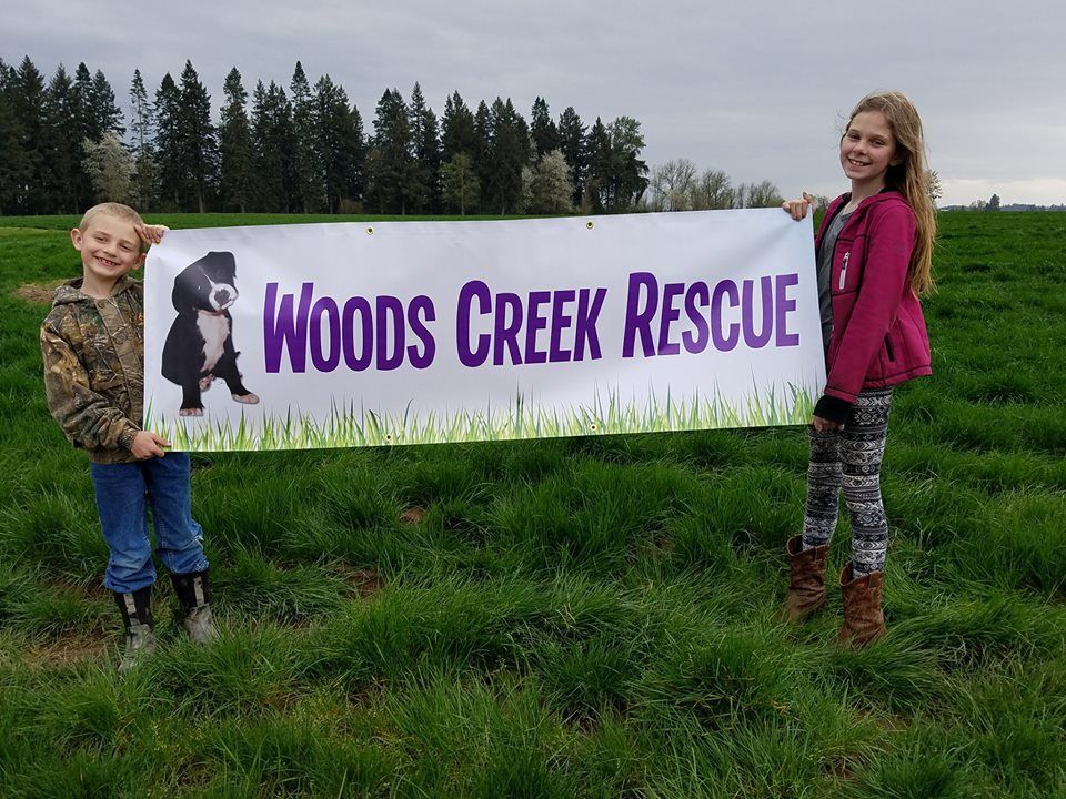 Woods Creek Rescue