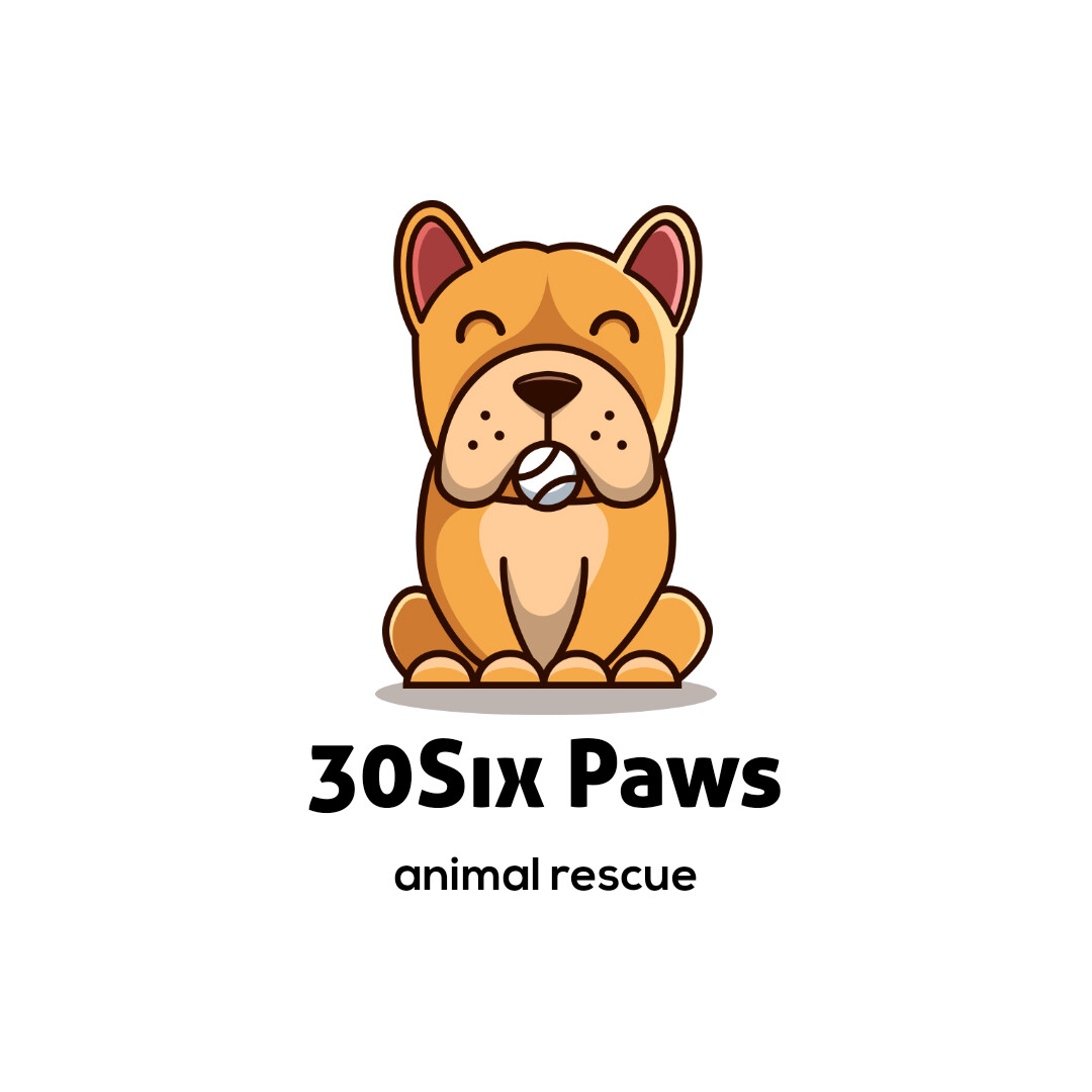 30SixPaws Animal Rescue