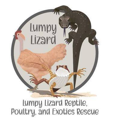 Lumpy Lizard Reptile Poultry and Exotics Rescue