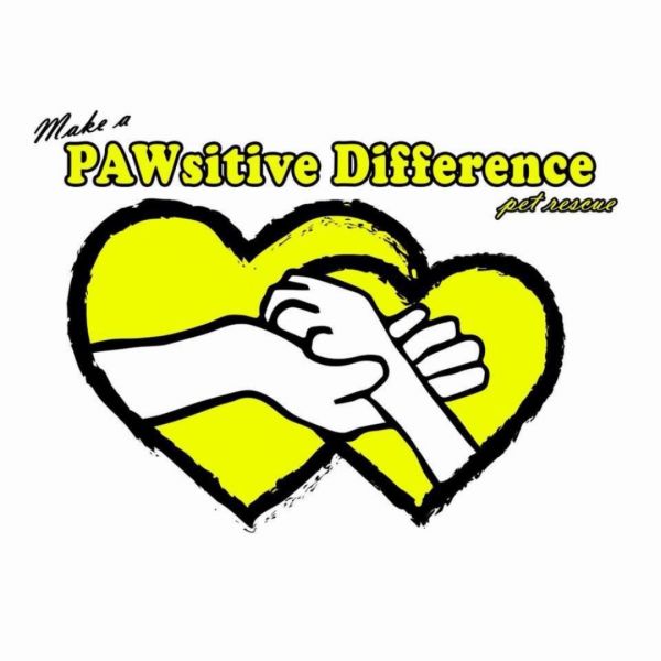 PAWsitive Difference