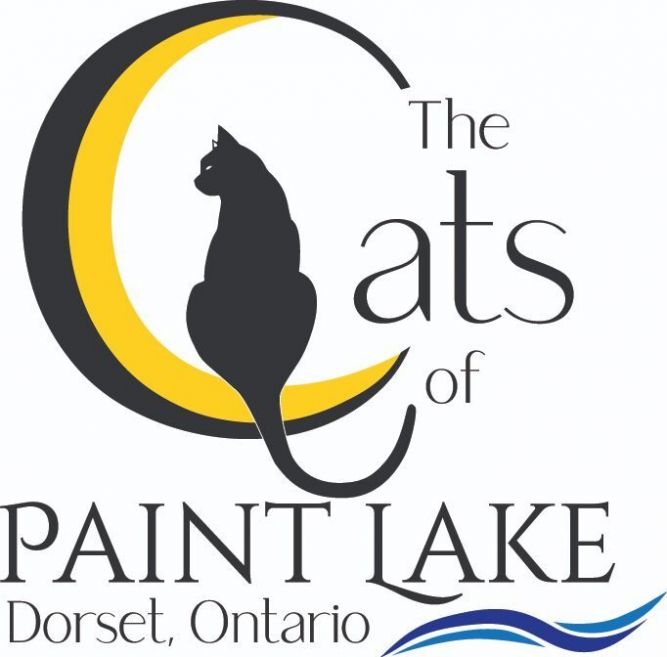 The Cats of Paint Lake
