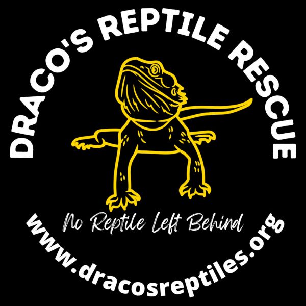 Dracos Reptile Rescue and Refuge Incorporated