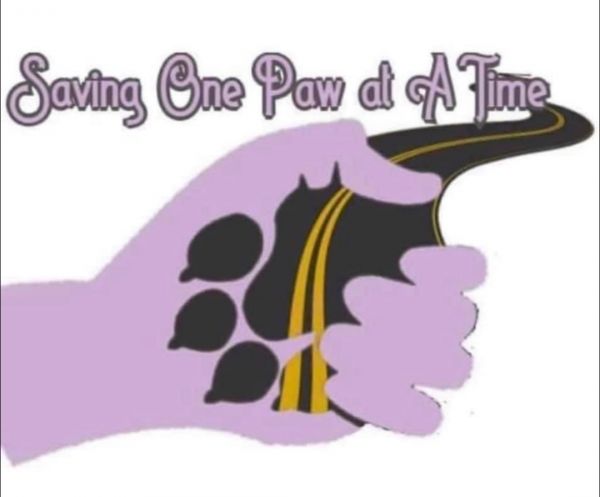 Saving One Paw At A Time Rescue & Transport
