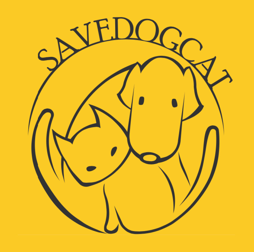 Savedogcat Org