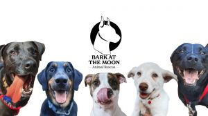 Bark at the Moon Animal Rescue