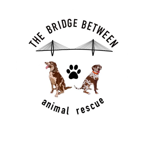 The Bridge Between Animal Rescue