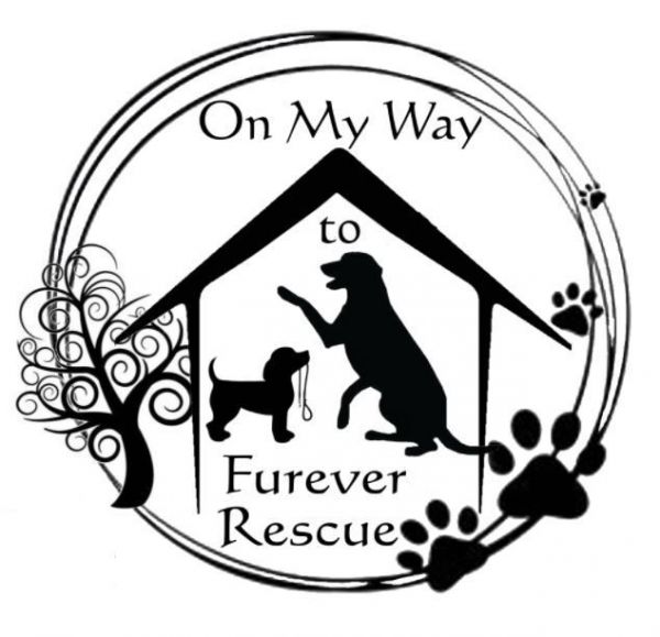 On My Way to Furever Rescue Inc.