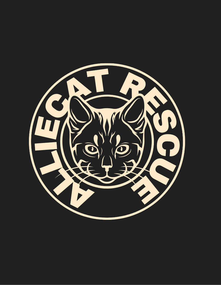 Alliecat NYC