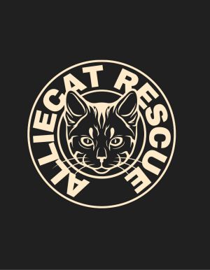 Alliecat NYC