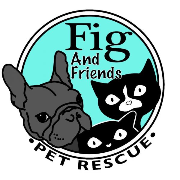 Fig and Friends Pet Rescue