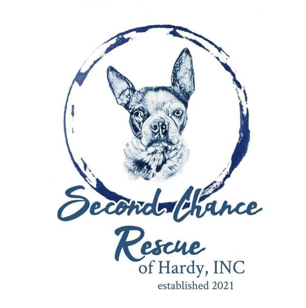 Second Chance Rescue Of Hardy