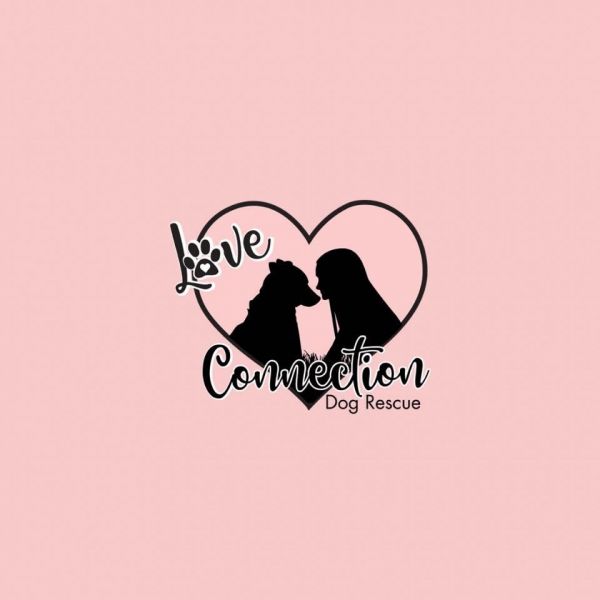 Love Connection Dog Rescue
