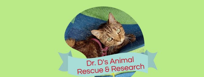 Dr. D's Animal Rescue and Research