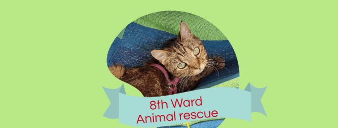 Dr. D's Animal Rescue and Research