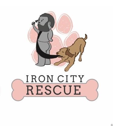 Iron City Rescue