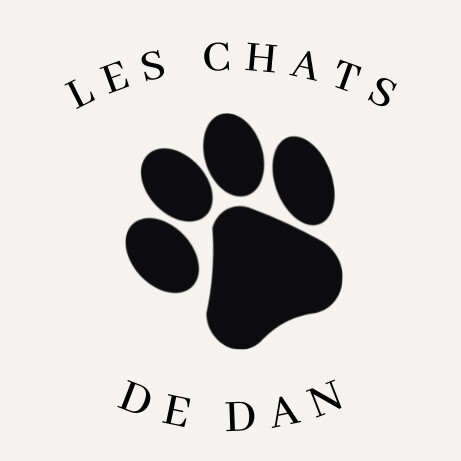 Les Chats de Dan