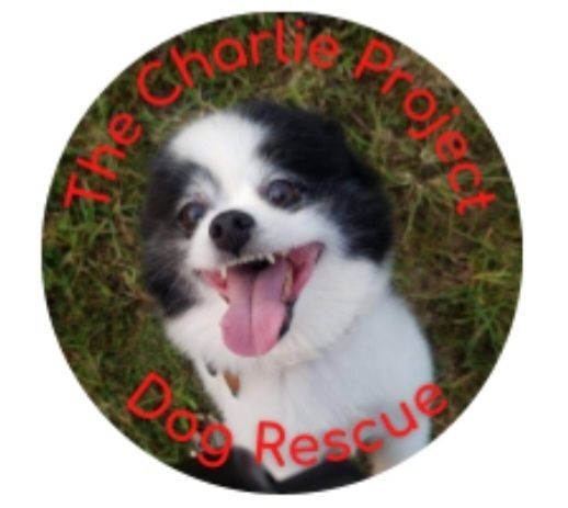 The Charlie Project Dog Rescue Corp