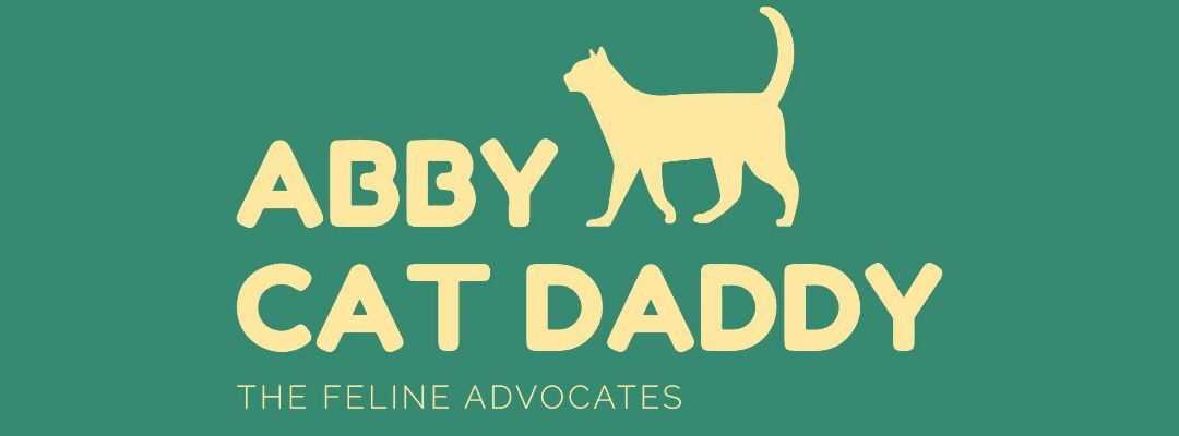 Abby Cat Daddy