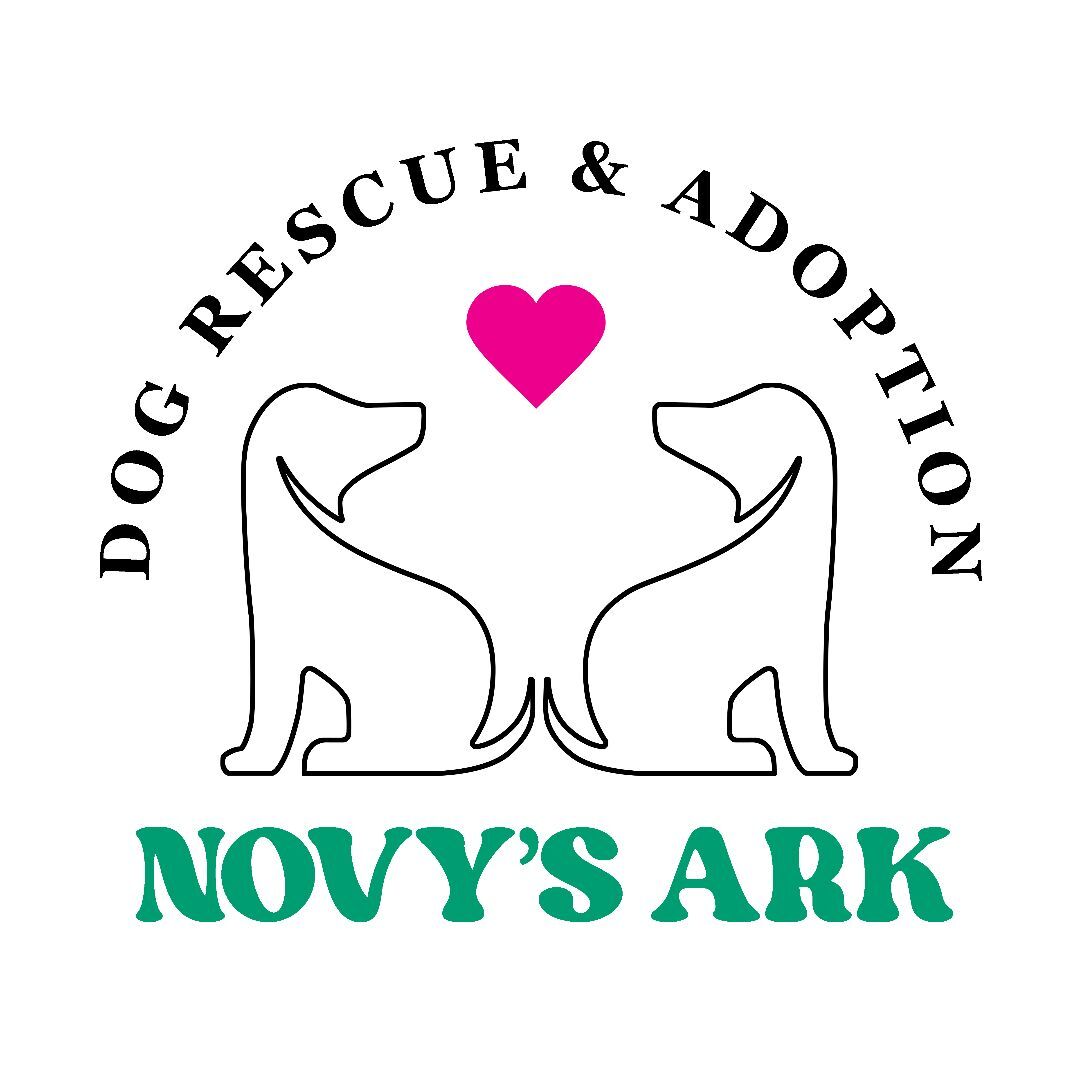 The ark animal hot sale rescue & adoption