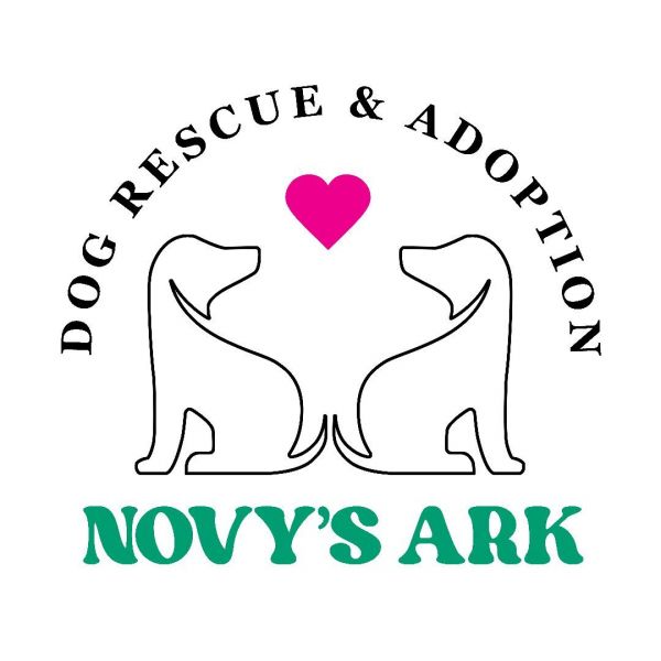 Novy's Ark