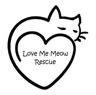 Love Me Meow Rescue