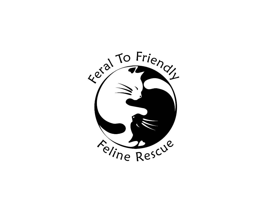 Friendly and best sale feral cat rescue