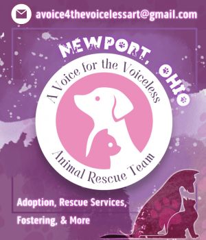 A Voice For The Voiceless Animal Rescue Team