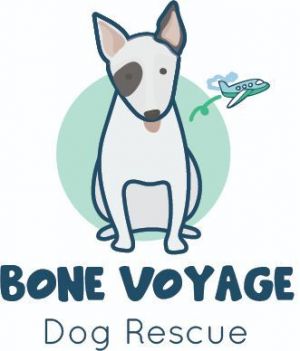 Bone Voyage Dog Rescue