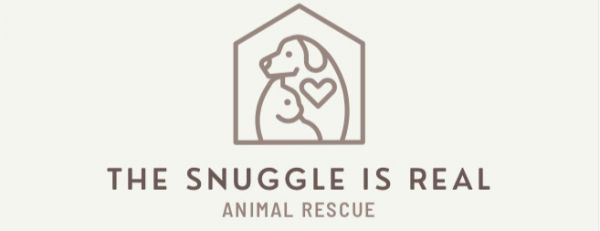 The Snuggle is Real Animal Rescue