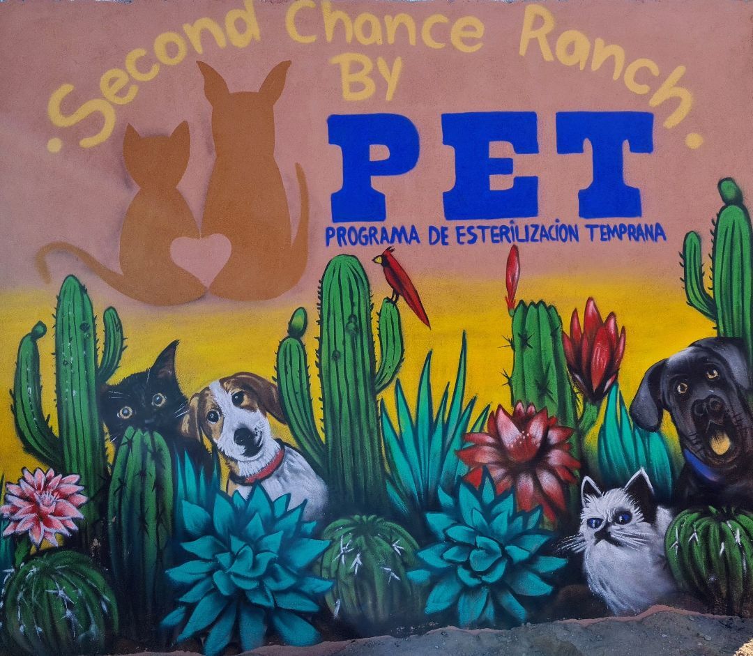 PET  Los Cabos